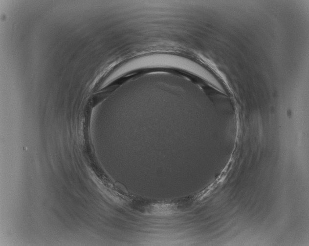 X0000080690154200612221101