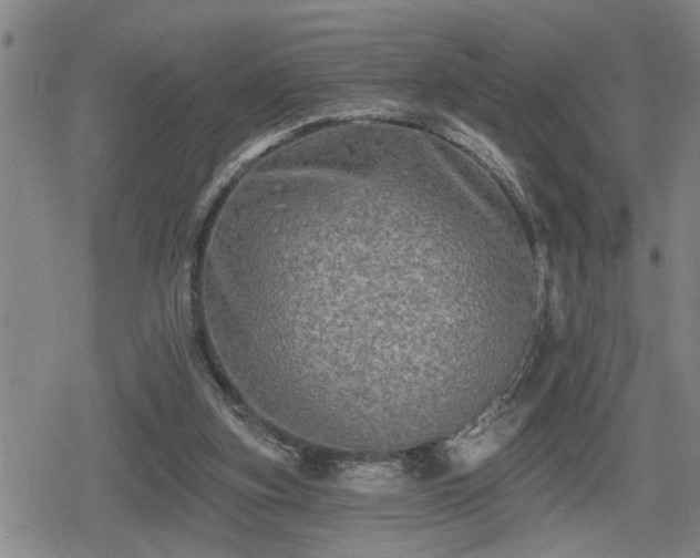 X0000080690155200612221101