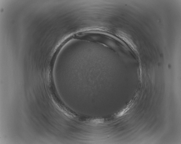 X0000080690156200612221101