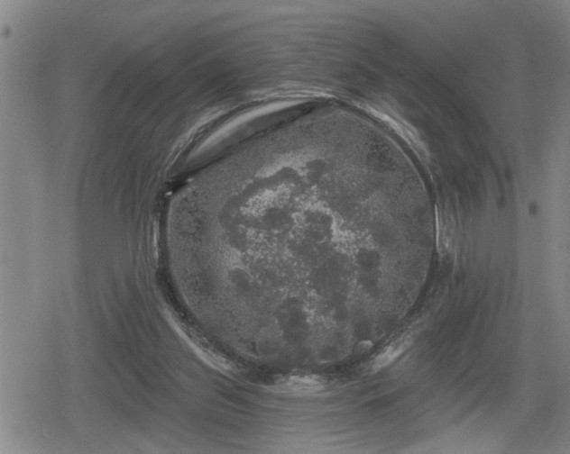 X0000080690157200612221101