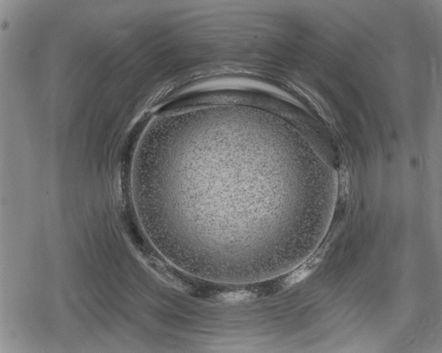 X0000080690158200612221101