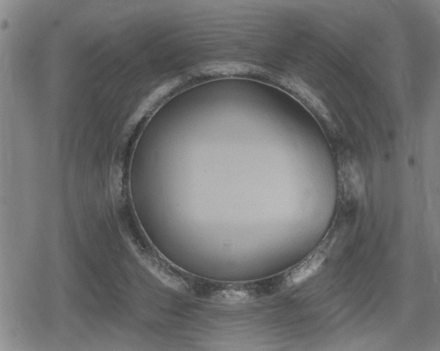 X0000080690159200612221101