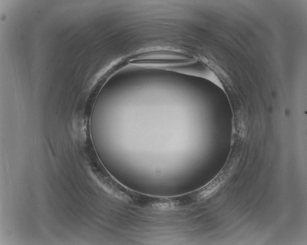 X0000080690160200612221101