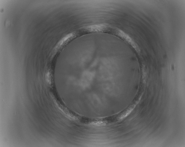 X0000080690161200612221101