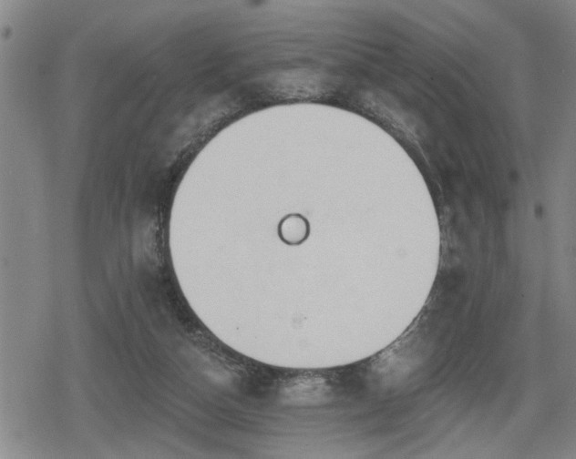 X0000080690162200612221101