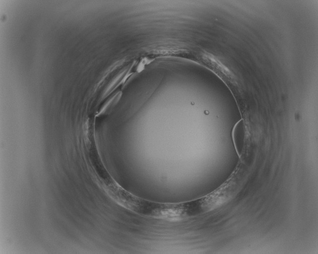 X0000080690163200612221101