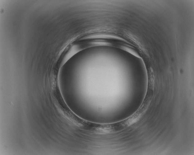 X0000080690164200612221101