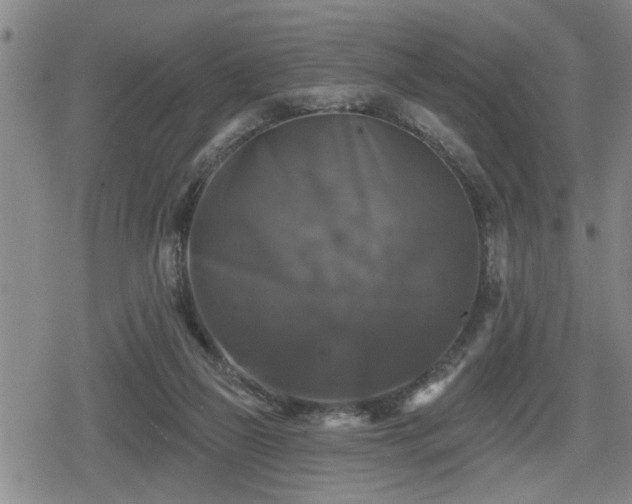 X0000080690165200612221101