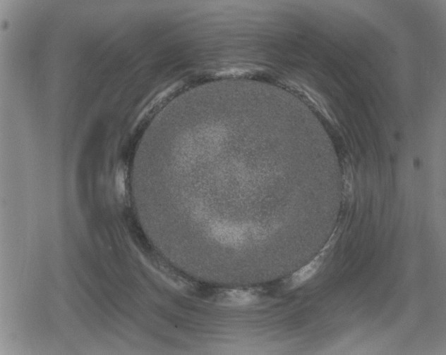 X0000080690166200612221101