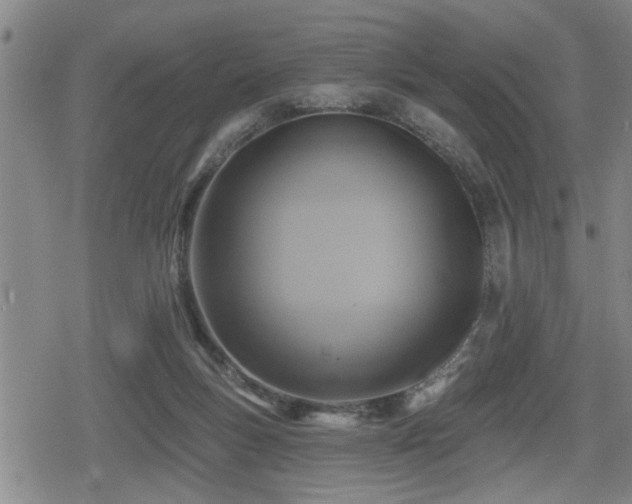 X0000080690167200612221101