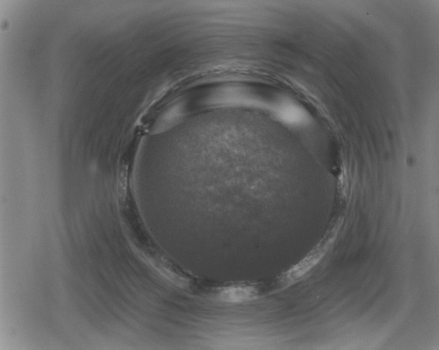 X0000080690168200612221101