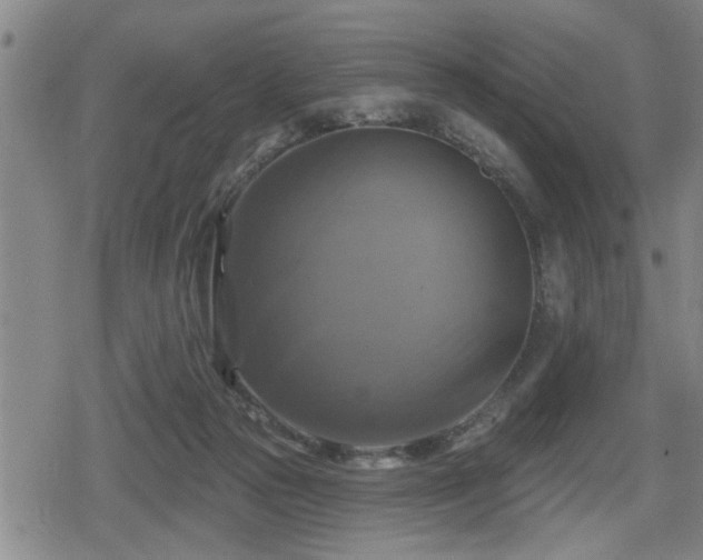 X0000080690169200612221101