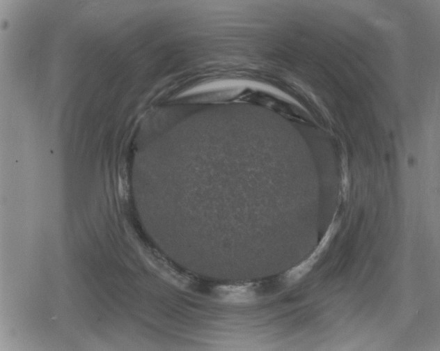 X0000080690170200612221101