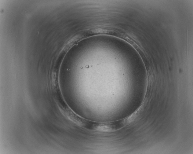 X0000080690171200612221101