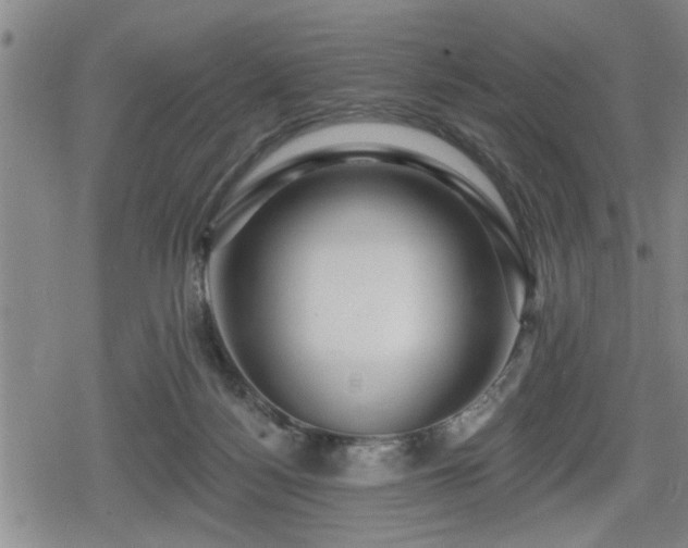 X0000080690172200612221101