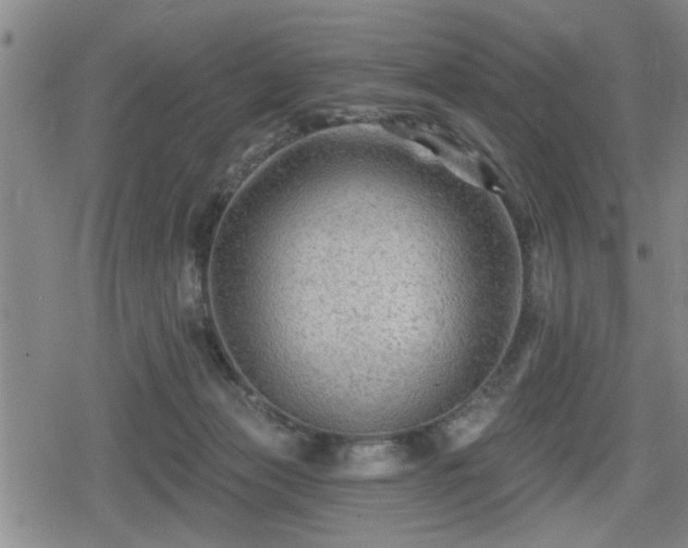 X0000080690173200612221101