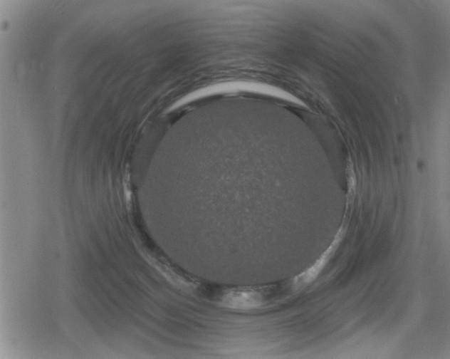 X0000080690174200612221101