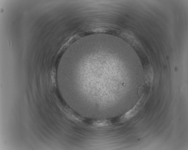 X0000080690175200612221101