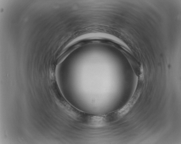 X0000080690176200612221102