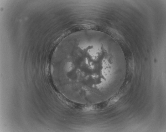 X0000080690177200612221102