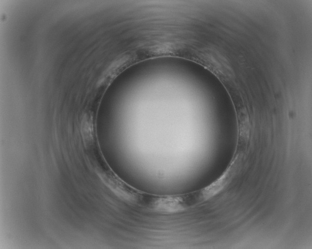 X0000080690179200612221102