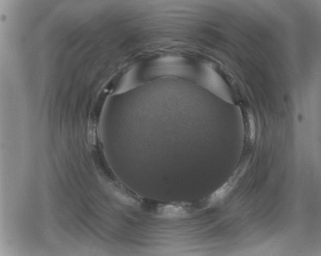 X0000080690180200612221102