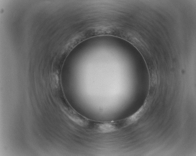 X0000080690183200612221102