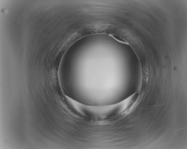 X0000080690184200612221102