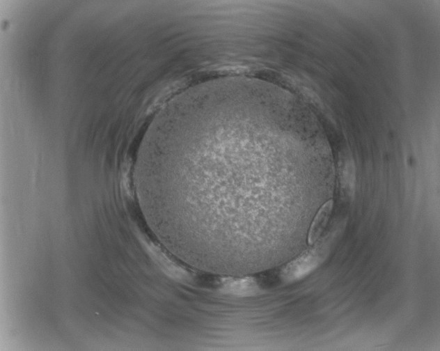 X0000080690185200612221102