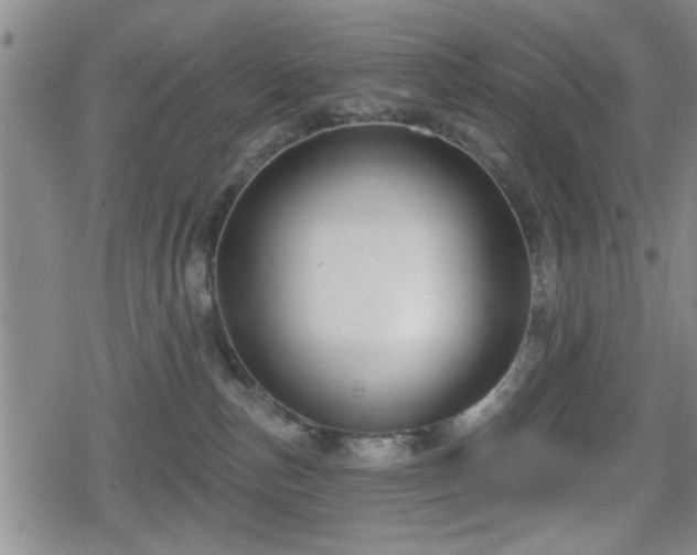 X0000080690187200612221102