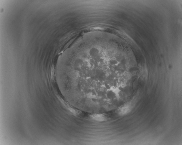 X0000080690189200612221102