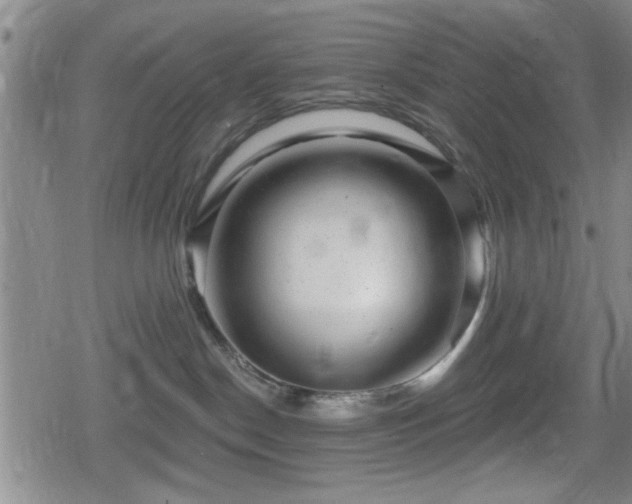 X0000080690190200612221102