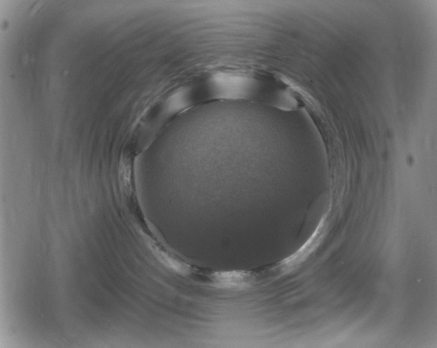 X0000080690192200612221102