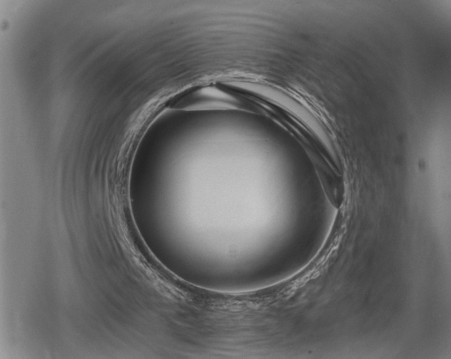 X0000080690193200612221101