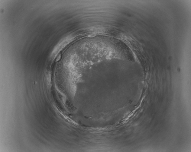 X0000080690194200612221101