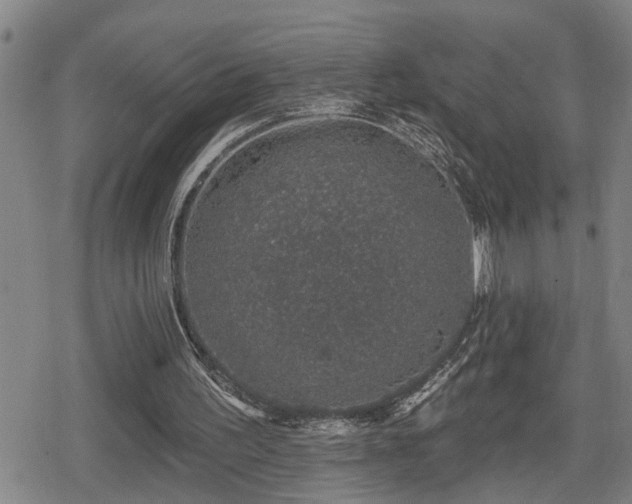 X0000080690195200612221101