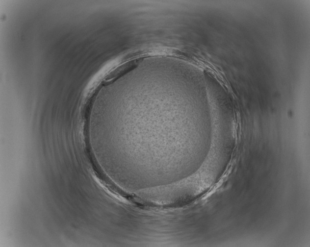 X0000080690197200612221101