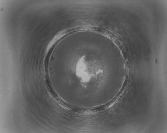 X0000080690198200612221101