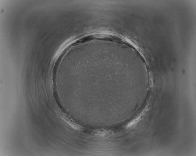 X0000080690199200612221101