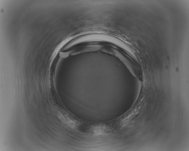 X0000080690200200612221101