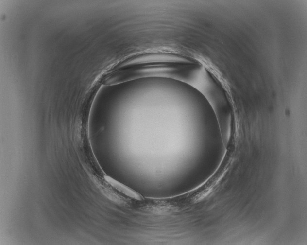 X0000080690201200612221101