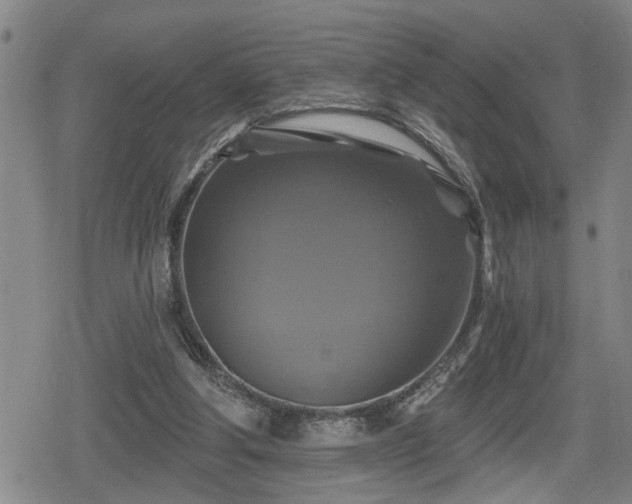 X0000080690202200612221101