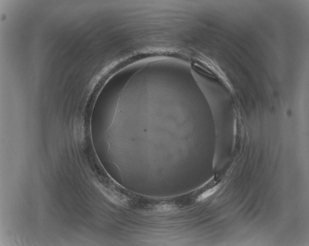 X0000080690204200612221101