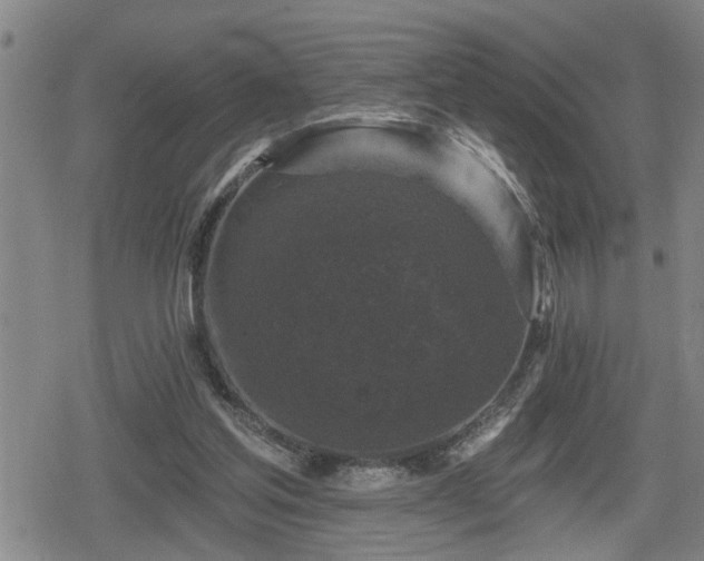 X0000080690205200612221101