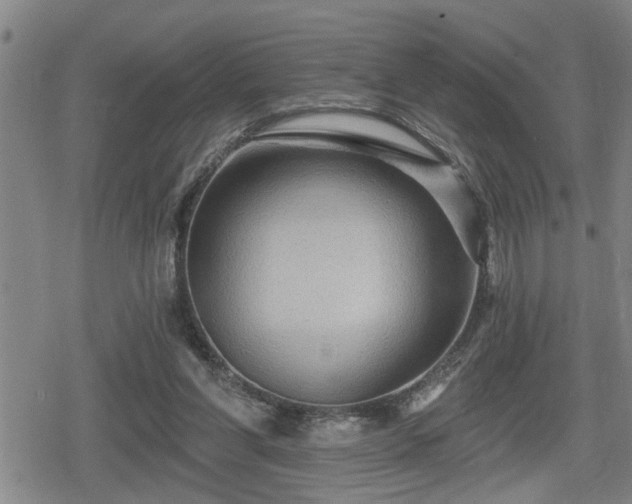 X0000080690206200612221101