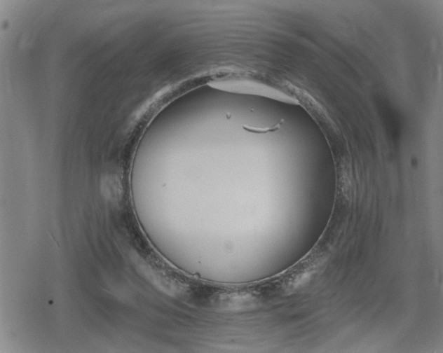 X0000080690208200612221101