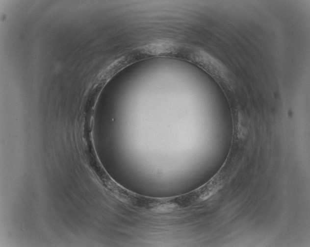 X0000080690210200612221101