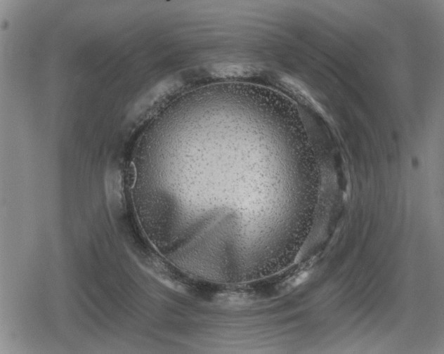 X0000080690211200612221101