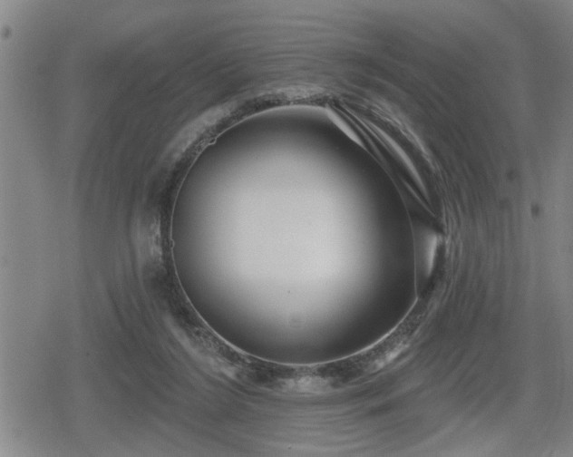 X0000080690212200612221101