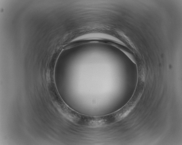 X0000080690213200612221101